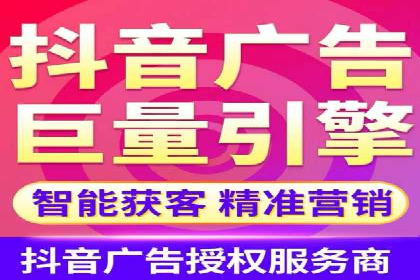 百度竞价与搜索引擎优化（SEO）结合的经典案例